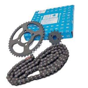 Kit piñon deltras ccadena platino 100platino 100sport 15666