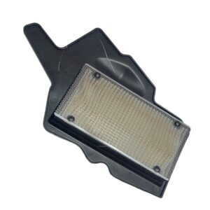 Filtro de aire raider 125 38555