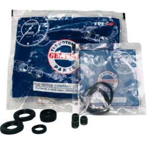 kit retenes tvs-100/ stryker cod.38634